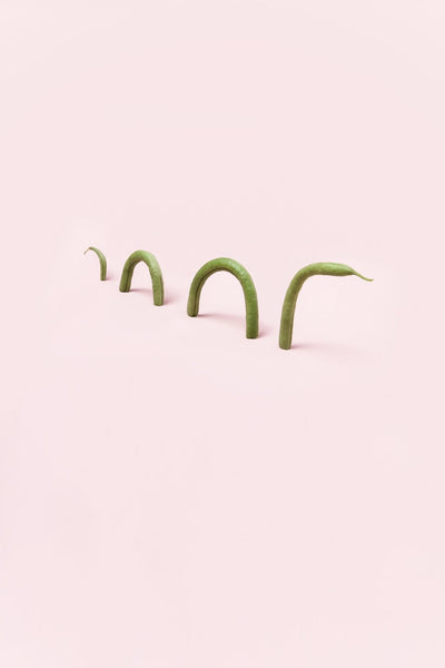 Petit bouillon de haricots tout verts - Popote Bébé